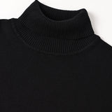 Merino Wool Turtleneck